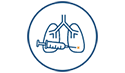 Lung graphic