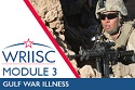 Gulf War Illness
