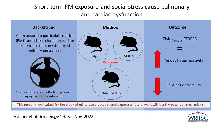 Short-term PM exposure and social stress cause pulmonary and cardiac dysfunction